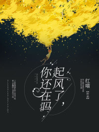 云沁柠玄翊封面
